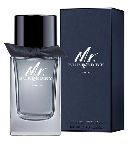 burberry mr cologne|mr Burberry indigo fragrantica.